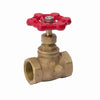 Homewerks 3/4 in. FIP X 3/4 in. FIP Brass Stop and Waste Valve