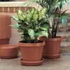 Bloem TerraPot 12.5 in. H X 14 in. D Resin Planter Terracotta Clay