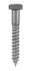 Hillman 3/8 in. X 2-1/2 in. L Hex Hot Dipped Galvanized Steel Lag Screw 50 pk