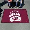 University of Montana Rug - 5ft. x 8ft.