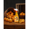 Howard Orange Oil Orange Scent Orange Oil 16 oz. Liquid