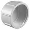 Charlotte Pipe Schedule 40 3/4 in. FPT x 3/4 in. Dia. FPT PVC Cap (Pack of 25)