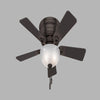 Hunter Haskell 42 in. Bronze Brown LED Indoor Ceiling Fan