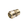 BK Products Proline Push to Connect 3/4 in. PTC X 3/4 in. D MPT Brass Adapter