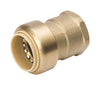 BK Products Proline Push to Connect 1/2 in. PTC X 1/2 in. D FPT Brass Adapter