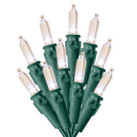 Celebrations LED Mini Warm White 50 ct String Christmas Lights 12.25 ft. (Pack of 12)