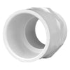 Charlotte Pipe Schedule 40 PVC Pipe Adapter (Pack of 25)