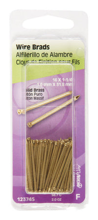 Hillman 16 Ga. x 1-1/4 in. L Brass Brad Nails 1 pk 2 oz. (Pack of 6)