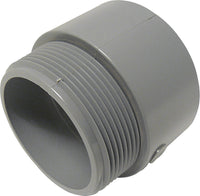 Cantex 2 in. D PVC Male Adapter 1 pk