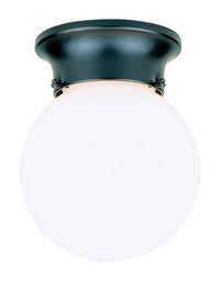 Westinghouse Gloss Black Incandescent Light Fixture