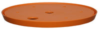 Bloem Ups-A-Daisy Orange Plastic 1 in. H Round Plant Insert 1 pk (Pack of 12)