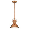 Westinghouse Boswell Washed Copper 1 lights Mini Pendant Light