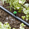 Raindrip Spot Drip Irrigation Dripper 2 gph 10 pk