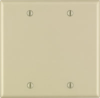 Leviton Ivory 2 gang Thermoset Plastic Blank Wall Plate 1 pk