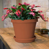 Bloem TerraPot 12.5 in. H X 14 in. D Resin Planter Terracotta Clay