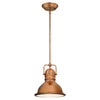 Westinghouse Boswell Washed Copper 1 lights Mini Pendant Light