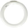 Satco FC8T9/CW 22 WATT COOL WHITE