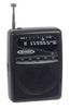 Jensen Wireless Radio