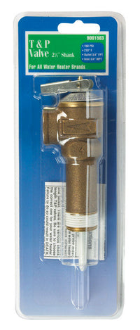 Reliance 2-1/2 in. MNPT Brass Relief Valve 1 pc