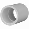 Charlotte Pipe Schedule 40 3/4 in. Slip x 3/4 in. Dia. Slip PVC Coupling (Pack of 25)