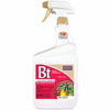 Bonide BT Thuricide Spray Organic Liquid Caterpillar Killer 32 oz (Pack of 12)