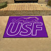 University of Sioux Falls Rug - 34 in. x 42.5 in.