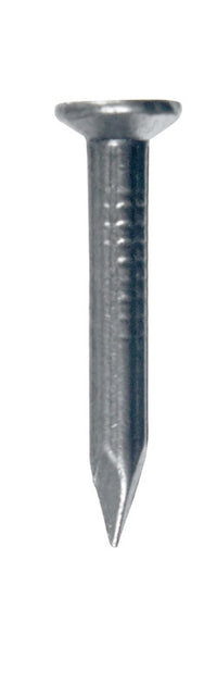 Stallion 2 in.   Masonry Steel Nail Flat 1 lb (Pack of 12).