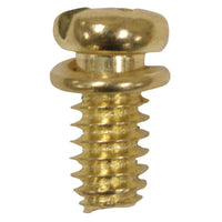 Westinghouse Motor Screw Kit