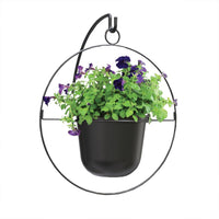 Panacea 17 in. D Metal Round Ring Hanging Planter Black (Pack of 6)