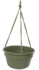 Bloem 6.8 in. H X 12.4 in. D Resin Dura Cotta Hanging Basket Living Green