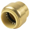 BK Products Proline Push to Connect 3/4 in. PTC Brass Cap