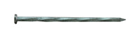 Pro-Fit 8D 2-1/2 in. Hot-Dipped Galvanized Nail Flat Head