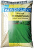 Barenbrug Winter Wonderlawn Italian/Perennial Ryegrass Partial Shade/Sun Grass Seed 5 lb