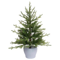 Celebrations 3 ft. Full LED 50 ct Fraser Fir Potted Color Changing Porch Bush