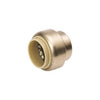 BK Products Proline Push to Connect 3/4 in. PTC Brass Cap