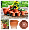 Bloem TerraPot 7 in. H X 8 in. D Resin Planter Terracotta Clay