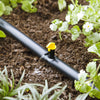 Raindrip Spot Drip Irrigation Dripper 4 gph 25 pk