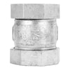 STZ Industries 1-1/2 in. Compression X 1-1/2 in. D Compression Galvanized Malleable Iron 3 in. L Cou