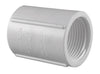 Charlotte Pipe Schedule 40 3/4 in. FPT x 3/4 in. Dia. FPT PVC Coupling (Pack of 25)