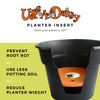 Bloem Ups-A-Daisy Orange Plastic Round Plant Insert 1 pk (Pack of 12)