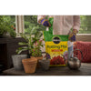 Miracle-Gro Potting Mix 8 qt. (Pack of 6)