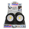 Shawshank Blazing LEDz 240 lm Flood Light (Pack of 8).