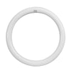 Feit Plug & Play T9 Cool White 12 in. G10Q Circular LED Bulb 32 Watt Equivalence 1 pk