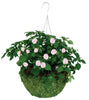 Gardman 14 in. D Natural Fiber Sphagnum Moss Hanging Basket Green