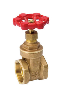 BK Products ProLine 2 in. FIP Brass Gate Valve