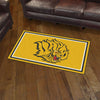 University of Arkansas at Pine Bluff 3ft. x 5ft. Plush Area Rug