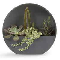 Bloem Bodye 15 in. H X 15 in. D Resin Full Moon Planter Charcoal