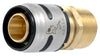 SharkBite EvoPEX 3/4 in. MPT X 3/4 in. D Push Brass/Plastic Male Connector