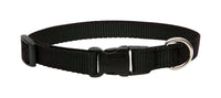 Lupine Pet Basic Solids Black Black Nylon Dog Adjustable Collar