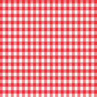 Magic Cover Red/White Checkered Vinyl Disposable Tablecloth 52 in. L X 52 in. W